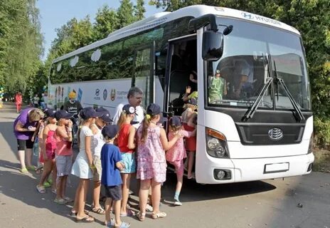 В России могут ввести кешбэк на проезд до лагерей для детей участников СВО