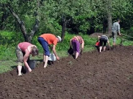 В Госдуме предлагают не прерывать майские праздники
