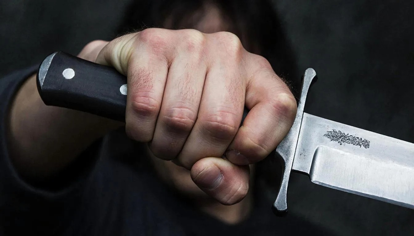 Мигрантам предложили запретить носить ножи