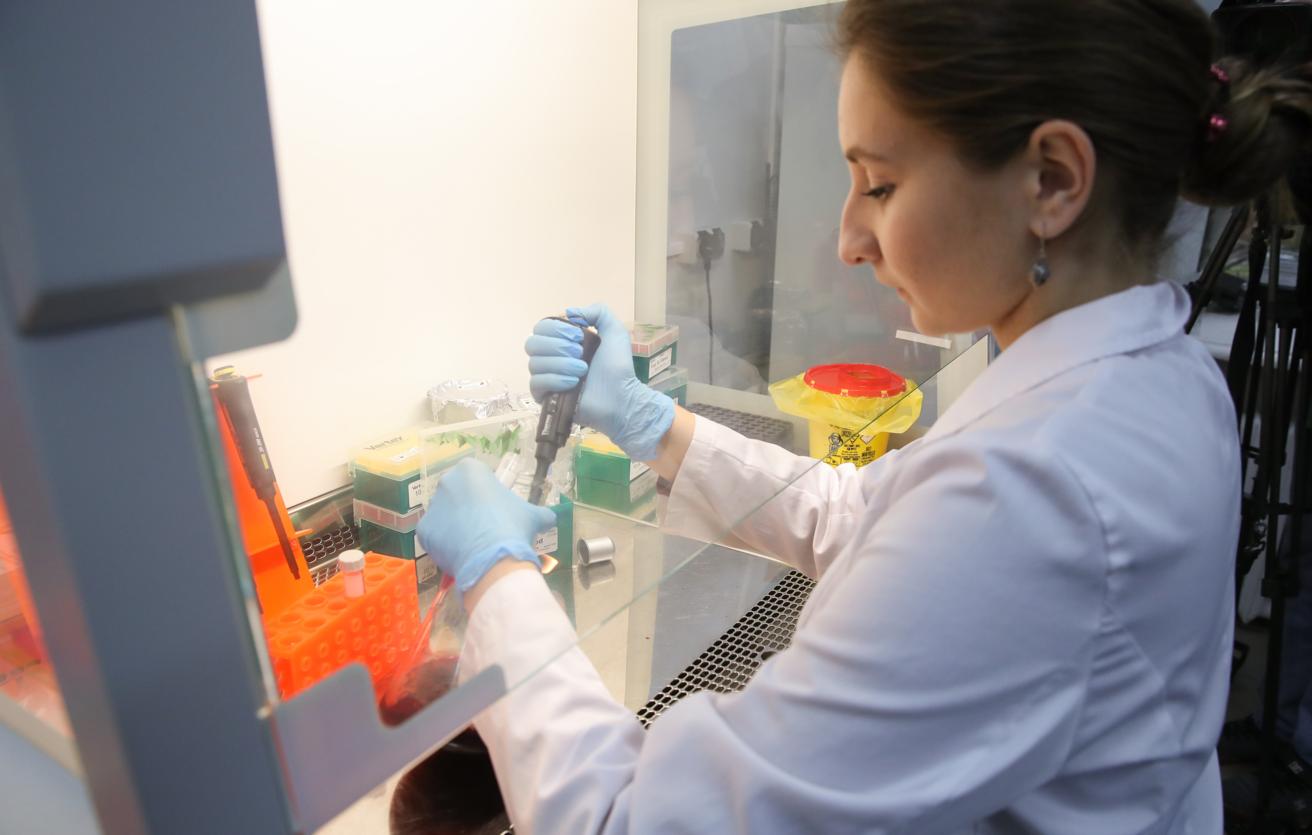 Клинические испытания первой вакцины против вируса Нипах начнутся в Бельгии в апреле