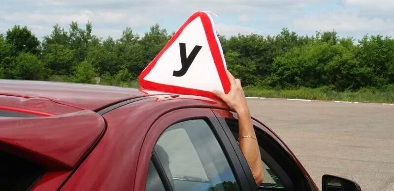 ТАСС: не сдавших практику будущих водителей могут обязать пересдавать теорию