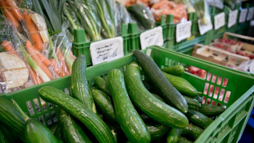 ФАС проверит резкое подорожание огурцов в России