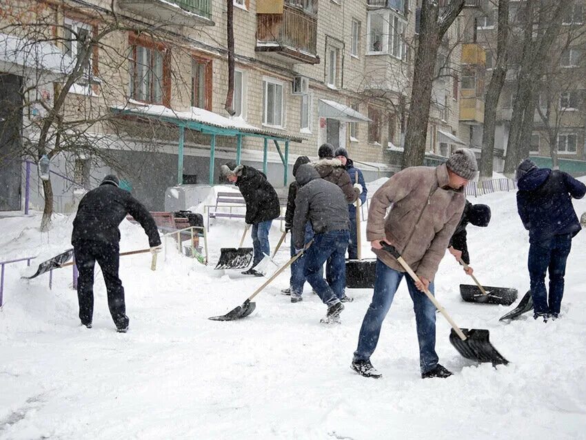 Почистил двор — получил скидку: активных жильцов хотят поощрять субсидиями