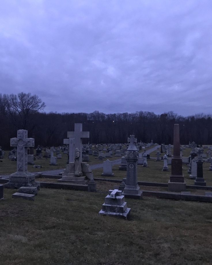 В Петербурге продают холерное кладбище 1831 года