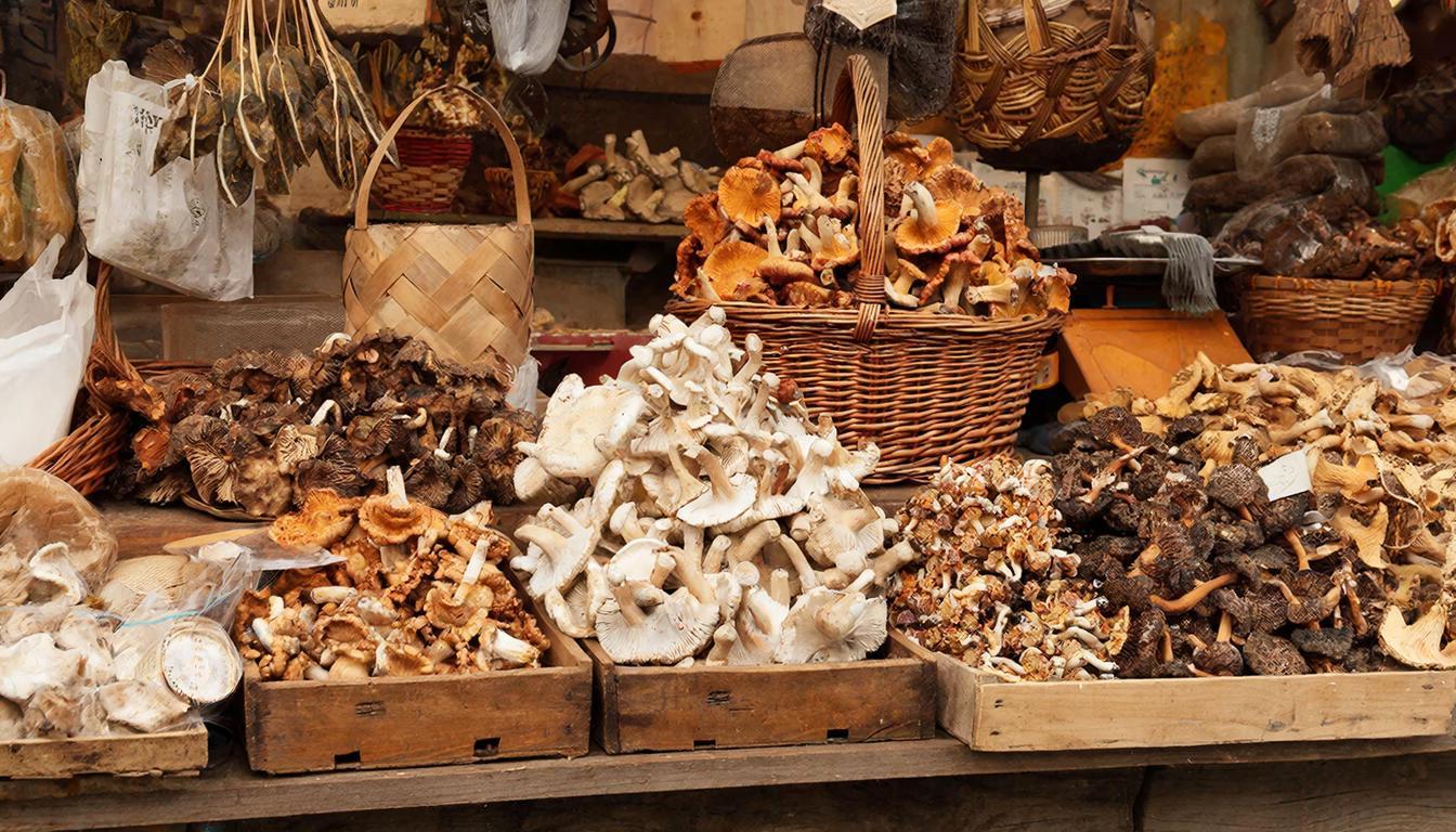 В России ожидается рост цен на грибы