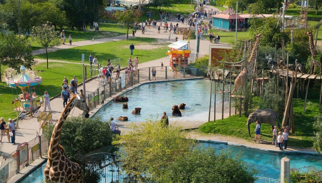 Реконструкция исторической территории Московского зоопарка начнется в 2026 году