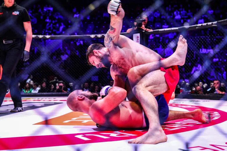 Фёдор Емельяненко готовится к бою против хорвата Филиповича